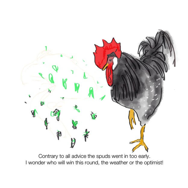 2013-09-22 - Elvin and Spuds