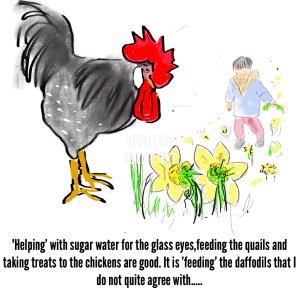 2013-10-04 - Gerda - Feeding Daffodils