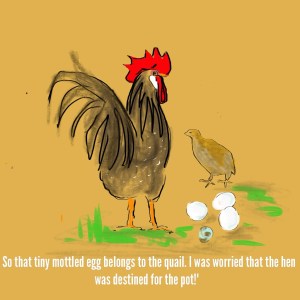 2013-10-11 - Gerda - Mottled Quail Egg