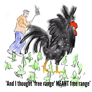 2013-11-19 - Gerda - Free Range