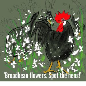 2013-12-04 - Gerda - Braodbean Flowers 1