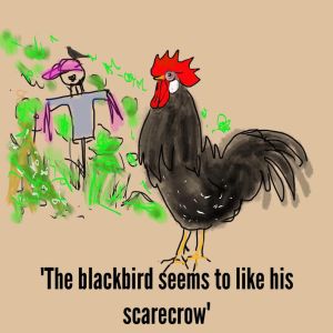 2013-12-13 - Gerda - Blackbird