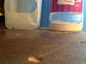 2014-01-06 - Adult Water Feeder 3