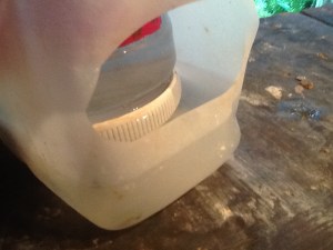 2014-01-06 - Adult Water Feeder 5