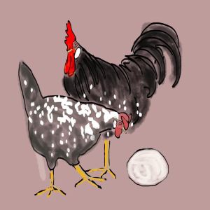 2014-01-13 - Gerda - Puffball