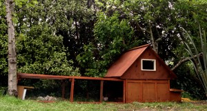 2013-10-17 - Quail Palace