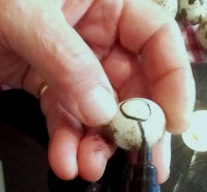 2014-02-16 - Egg circle 2