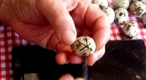 2014-02-16 - Egg circle 3