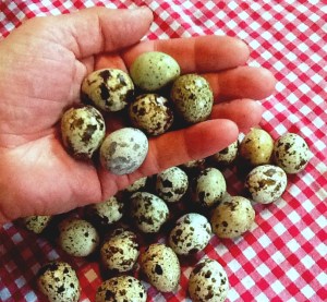 2014-02-16 - Hand with Eggs 1