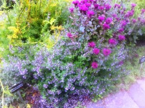 2014-02-19 11.56.08-1