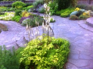 2014-02-19 12.03.00-1