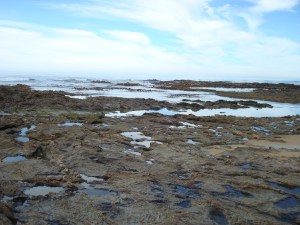 2014-02-20 13.43.49-1