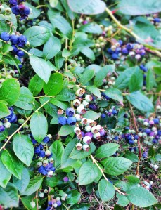 Photo 26-01-14 11 22 17 AM