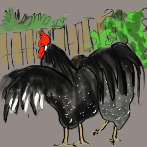 2014-003-07 - Gerda - usted in the Back Yard