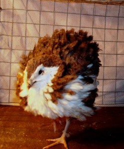 2014-04-22 - Bigger than you think