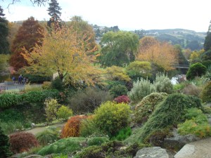 2014-04-25 12.24.49-1