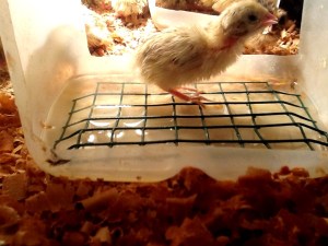 2014-01-07 - Water Access