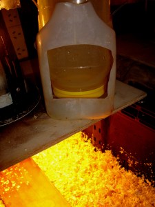 2014-05-05  - Brooding Quails 10