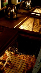 2014-05-05 - Brooding Quails 13