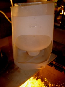 2014-05-05 - Brooding Quails 9