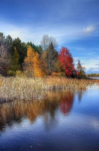 2014-08-04 -  Wetlands