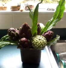 2014-11-16 - Artichokes