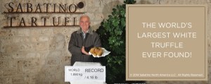 2014-11-27 - Largest White Truffle