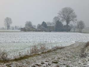 ?????????????????????????????????????