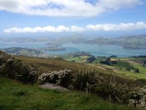 2014-12-12 - Valley 1