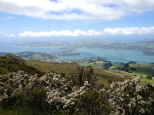 2014-12-12 - Valley 3