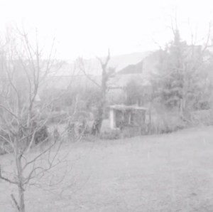 2014-12-28 - Neve a Cremona