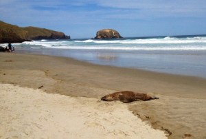 2015-01-06 - Beach 1