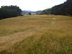 2015-01-06 - Beach 5