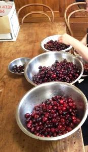 2015-01-12- Cherry Time