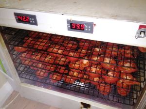 2015-01-12 - Pomodori Secchi