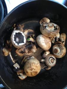 2015-03-07 - Mushrooms