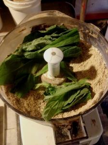 2015-03-20 - Feed Mixing Plant - Mix in Greens - 1