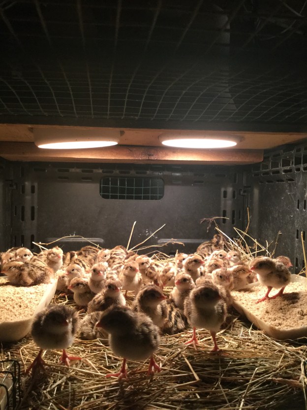 5BC4010B-916C-4BFD-8FF7-3AA11E86CEC7