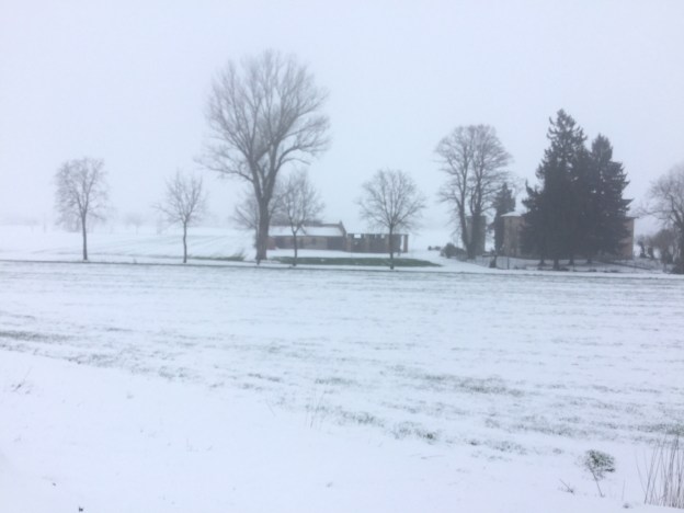 8B9023E2-3374-4944-A64D-B21A2F6465F9