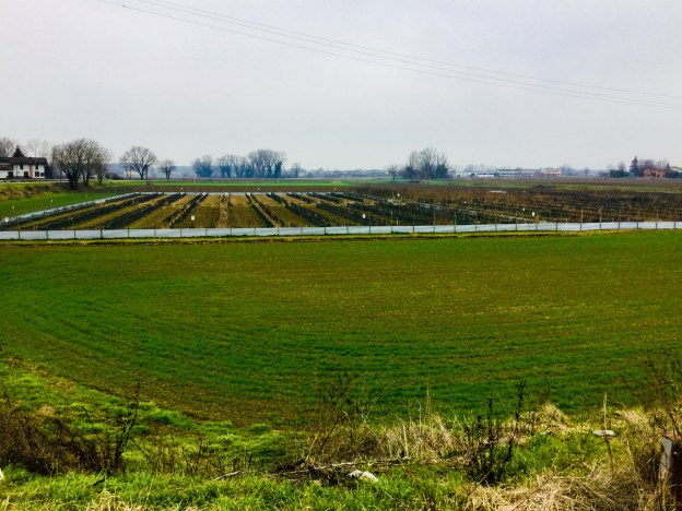 99E9F2C1-48F9-4741-AA46-D0E7F6FC447E