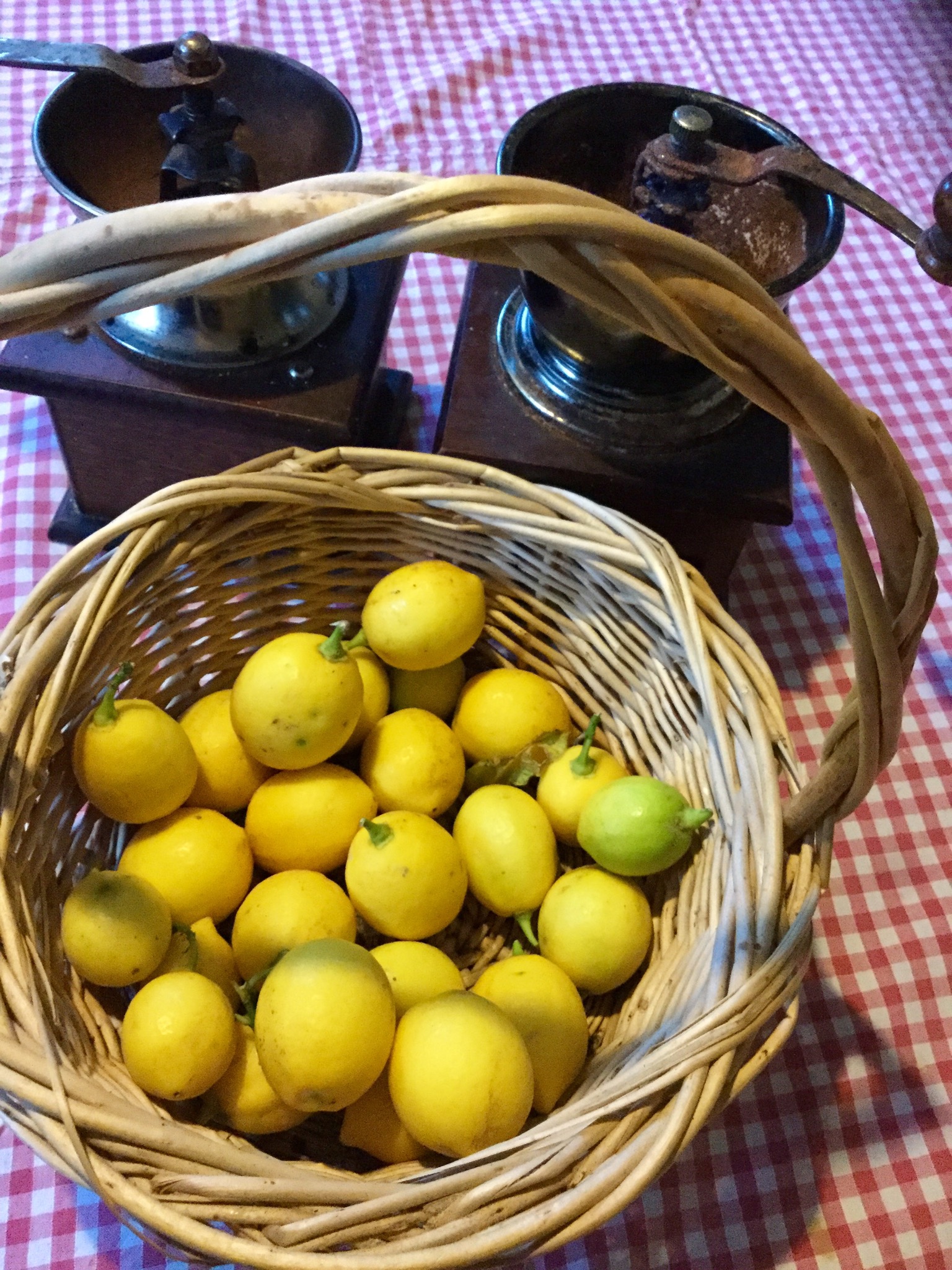 E1D3E917-6FD5-4303-B074-8F8FCF348E60