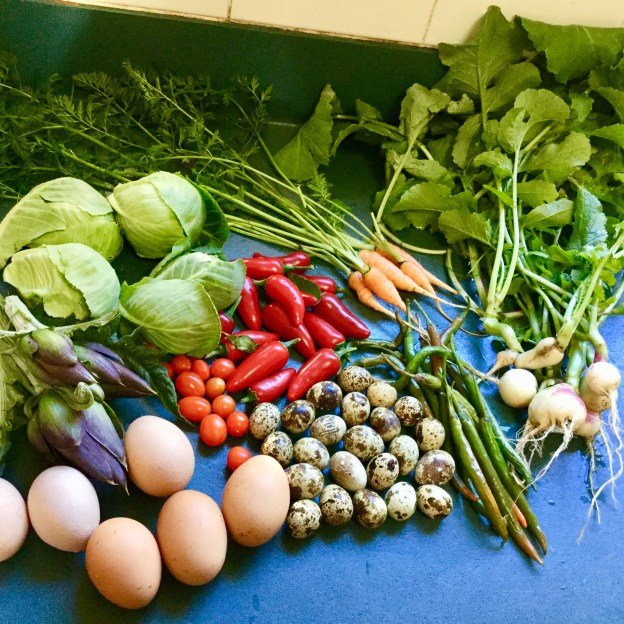 B6A1D094-58F4-45C2-802E-1C2A299C5C3D