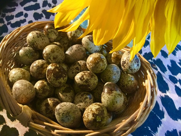 24BB57D9-4FD8-4698-A9DB-1DC67B318DFE