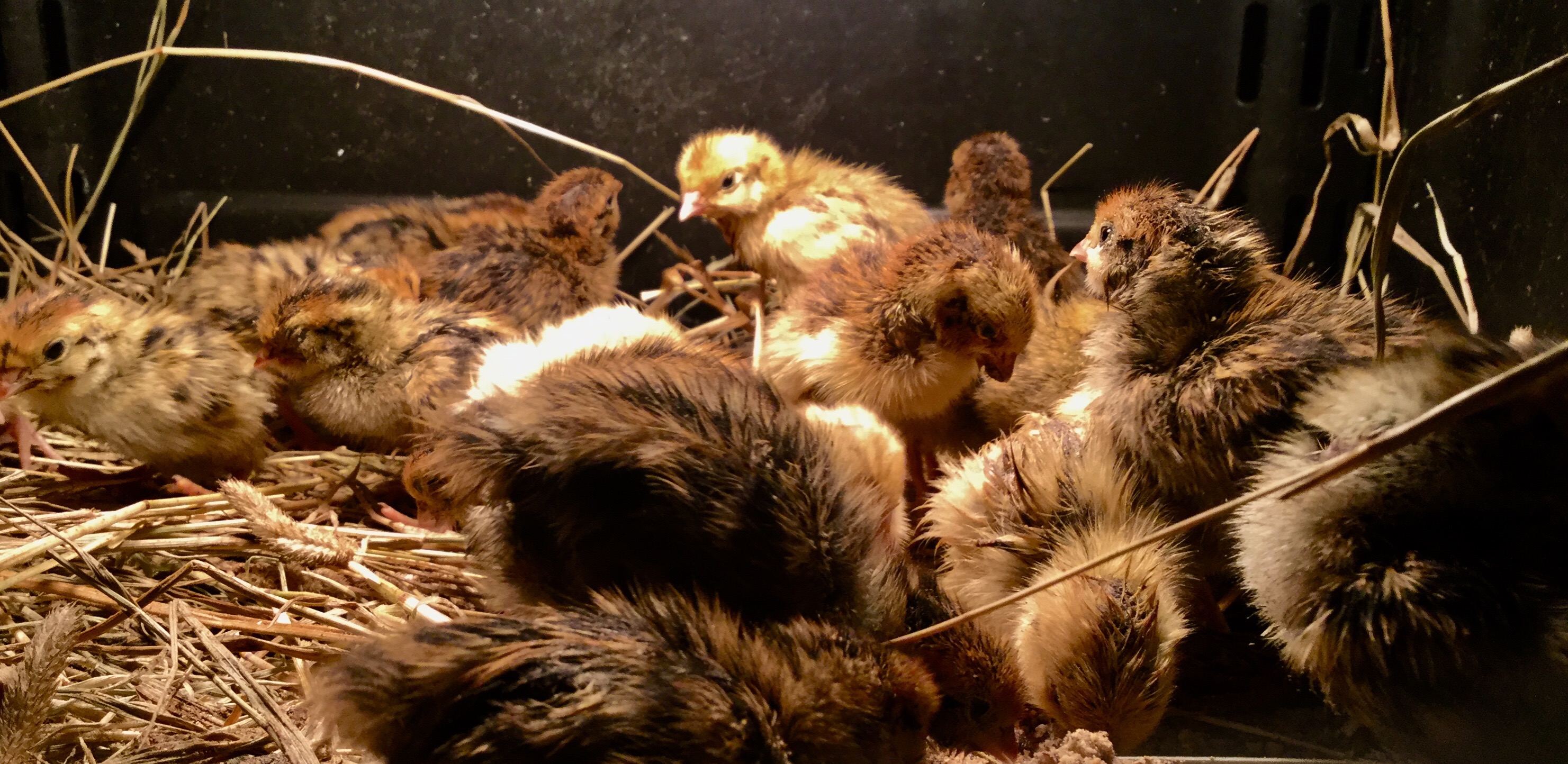 2F7E7359-2D43-4BB8-803F-135F690C07E8